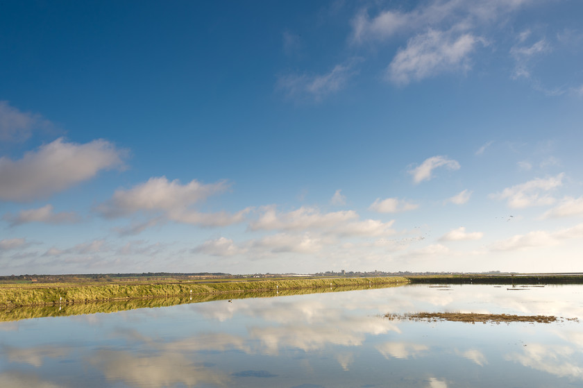 Havergate Island Reflections-1 
 Keywords: RSPB Havergate Island 21-4-13, Tony Pick