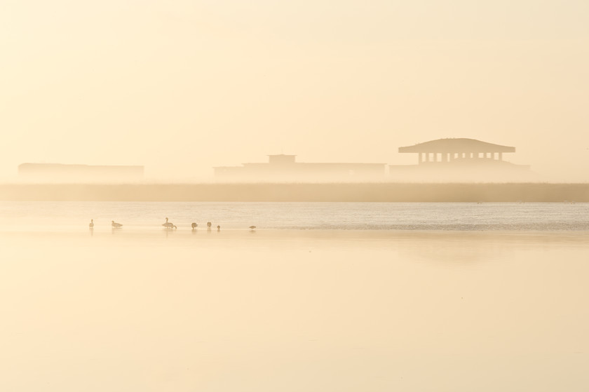 Orford Ness Pagodas-1 
 Keywords: RSPB Havergate Island 21-4-13, Tony Pick